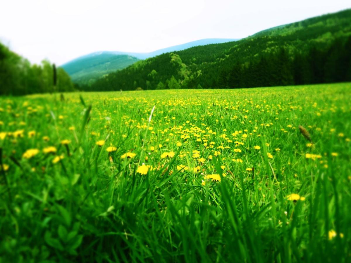 Srub U Lanovky Hostel Ramzová Kültér fotó